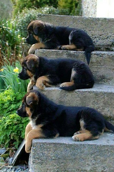 ★ ������������� ��� ������� ★ - 15 ���� 2018 � 22:40