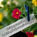 ���� L, ������� - ��������� 12 ����� 2018 � ������ ���� ����������
