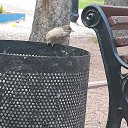 ���� ���), ���� - ��������� 26 ���� 2018 � ������ ���� ����������