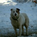 ���� ������, ������, 49 ��� - ��������� 11 ������� 2018 � ������ �������� SONY 75-300 + �����