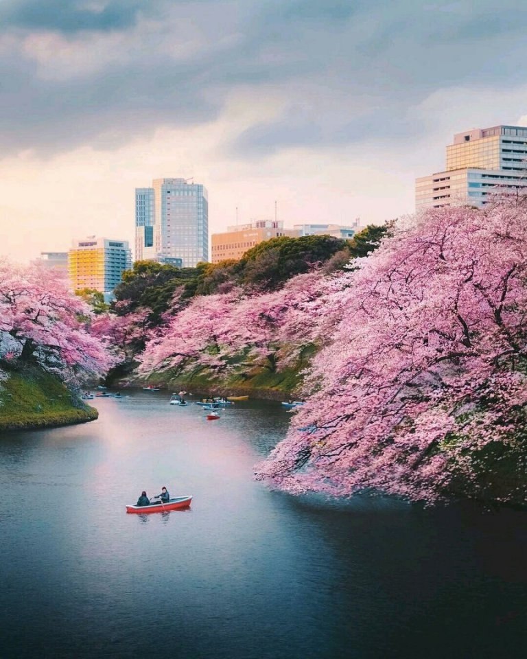 Tokyo, Japan