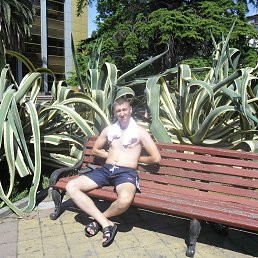 �������, ��������, 39 ���