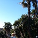 ���� �������, ����� - ��������� 25 ������ 2018 � ������ ����� ������ 2018�