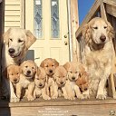 ���� �����, ������������ - ��������� 21 ����� 2018 � ������ ������ ��������