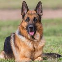 ���� ������, ��������� - ��������� 29 ������ 2018 � ������ ������ ��������