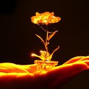  ***Anomaly***, - -  24  2018    