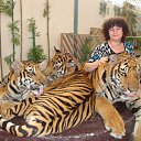 ���� �������, �������, 57 ��� - ��������� 4 ������� 2018 � ������ ������ ��������