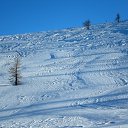 ���� ����, ������, 62 ���� - ��������� 5 ������ 2018 � ������ ������� ���� �������