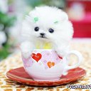 ���� ��������, ����, 53 ���� - ��������� 27 ������ 2018 � ������ ���� ����������