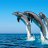 ���� Elena, �����, 45 ��� - ��������� 24 ��� 2018