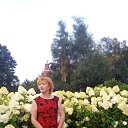 ���� �����, ������ - ��������� 3 ������� 2017 � ������ ���� ����������