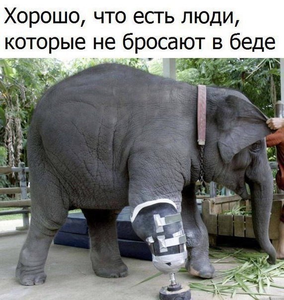 Добро пожаловать на Землю! - 19 апреля 2018 в 02:37