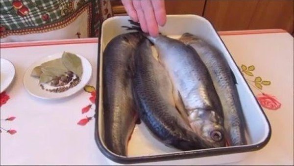 ���� ����� ��� ����� �� �������� ������� �������� ��� ������� � ��������, �������� ������� ������� ... - 2