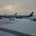  Serzh Van Der Maaremaan,  -  11  2018   SASCO AVACHA (   )