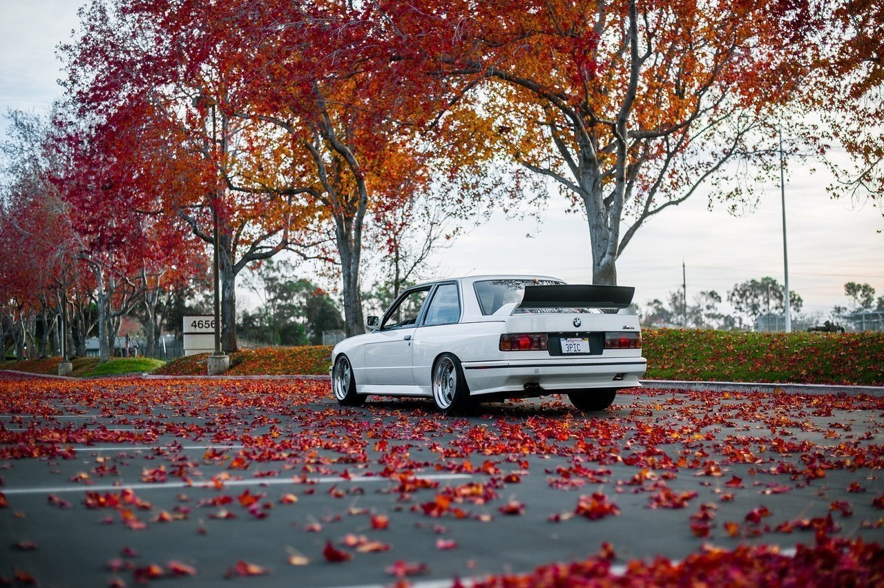 BMW e30 - 6