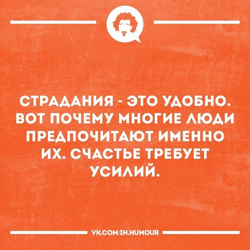   - 6  2017  03:31