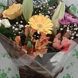 �, ���, 50 ���