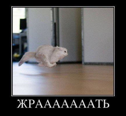 � ����� �����! - 15 ������ 2018 � 17:04