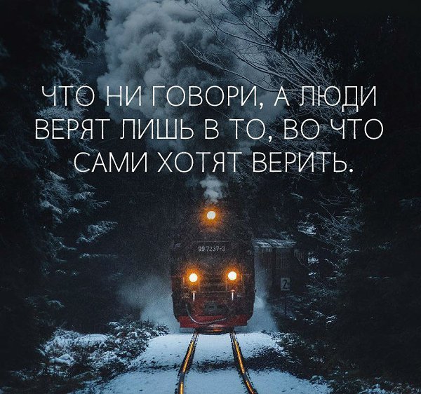     - 8  2017  03:31