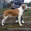 ���� ������, �������-��������� - ��������� 10 ��� 2018 � ������ ���� ����������