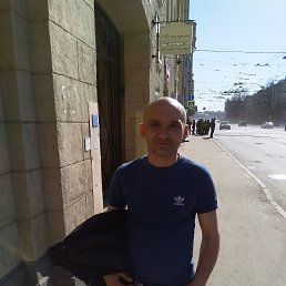 �����, �����-���������, 46 ���