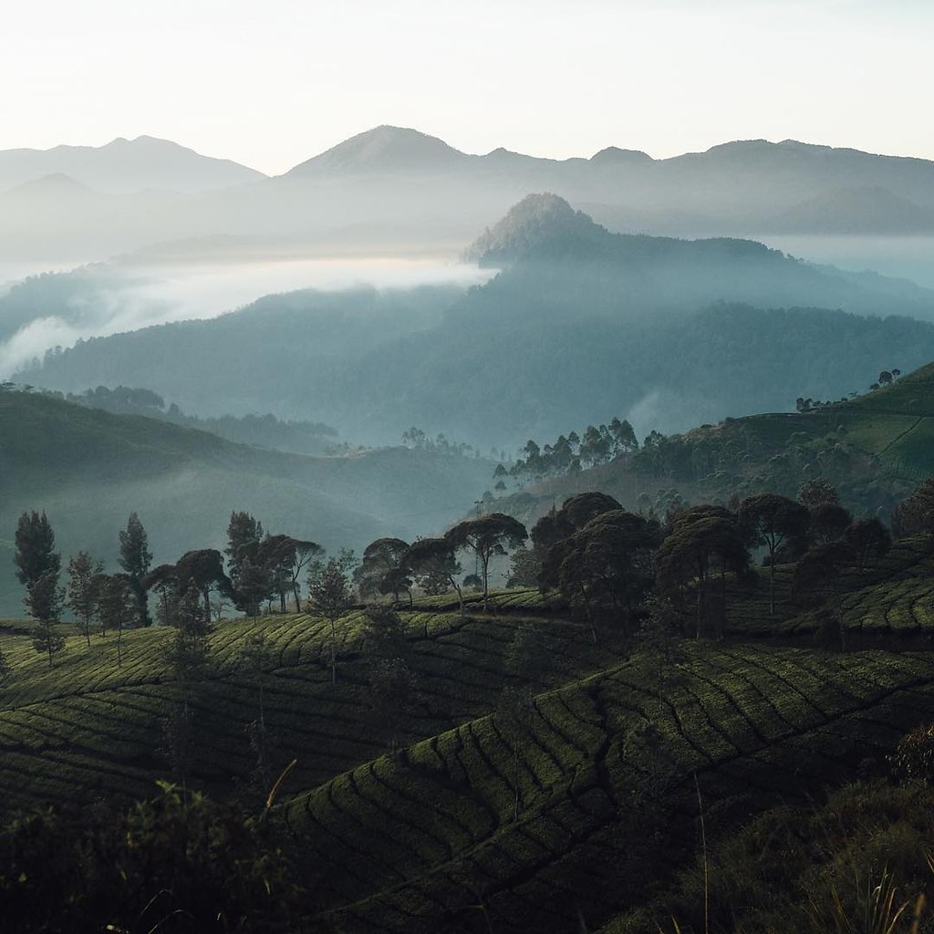 Bali, Indonesia - 6