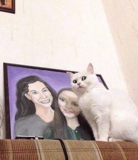 ,    .))