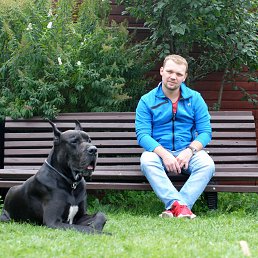 �������, �������, 40 ���