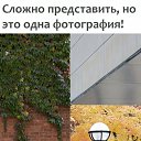 ���� �����, ����, 57 ��� - ��������� 15 ������ 2018 � ������ ���� ����������