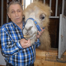 ��������, ������, 65 ���