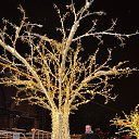 ���� ������, ������, 36 ��� - ��������� 17 ������� 2018 � ������ �� 2018 ���