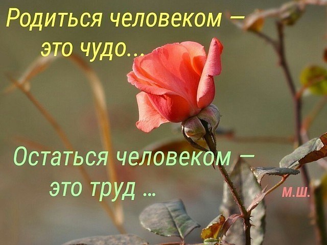    ...    ...    ...   ...