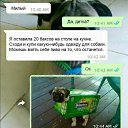 ���� ���������, ������������ - ��������� 8 ����� 2018 � ������ ���� ����������