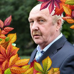 ���� �������, ���������, 68 ��� - ��������� 31 ������� 2017