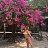 ���� Olga, �����, 56 ��� - ��������� 9 ������ 2018