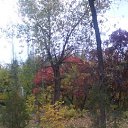 ���� �������, ��������, 40 ��� - ��������� 7 ������ 2018 � ������ ���� ����������