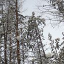 ���� �������, ������� - ��������� 28 ������ 2017 � ������ ��������