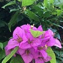 ���� Elena, ���������, 57 ��� - ��������� 8 ���� 2018 � ������ ������ ��������