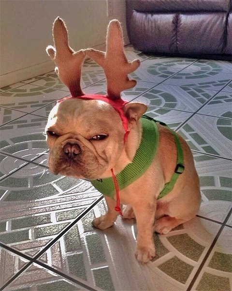 ������� � ��� ���������� ����������: