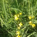 ���� �����, ������ - ��������� 27 ������ 2017 � ������ ������ ��������