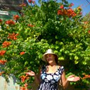 ���� �����, ��������, 65 ��� - ��������� 16 ����� 2018