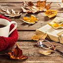 ���� �����, �����, 62 ���� - ��������� 8 ����� 2018 � ������ ������ ��������