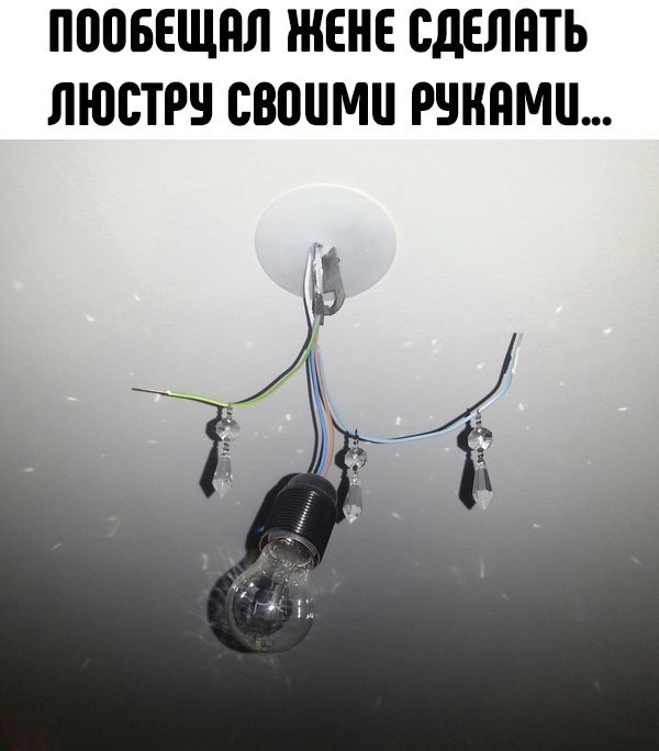 Nightjar - 22  2018  09:27 - 48