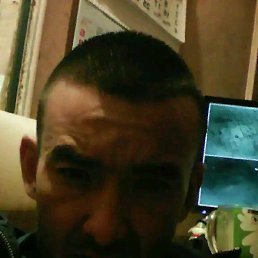 ������, ������, 43 ����