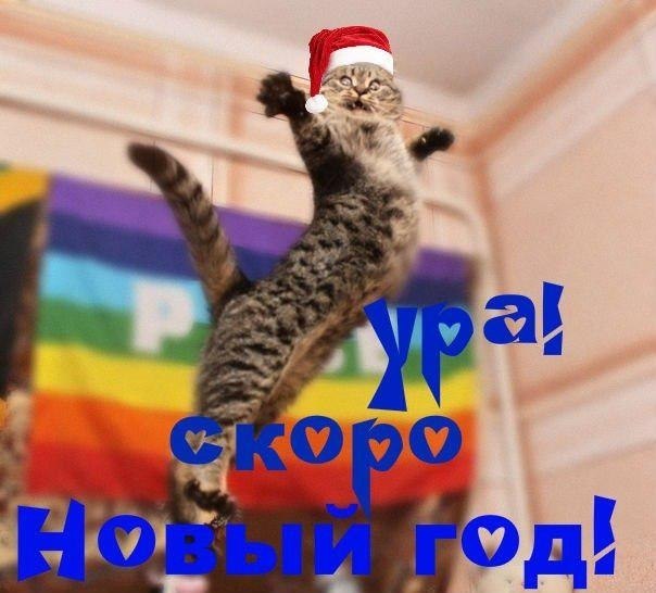 ��� �������� �������� - 13 ������� 2017 � 03:38