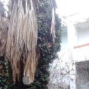 ���� ������, ���������, 51 ��� - ��������� 5 ������ 2018 � ������ ���� ����������