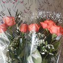 ���� ���������� ����������, �������� - ��������� 22 ����� 2018