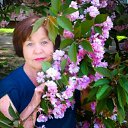 ���� �������, �������, 68 ��� - ��������� 22 ������ 2018 � ������ ���� ����������