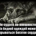 ���� �������, ������-��-����, 40 ��� - ��������� 30 ����� 2018 � ������ ���� ����������