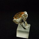 ���� �����, ��������, 61 ��� - ��������� 23 ������ 2017 � ������ ���� ����������